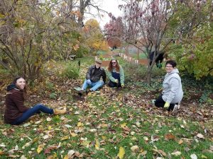 The Northern NJ Community Foundation's volunteers clean debris and dead foliage in a City Green garden.
