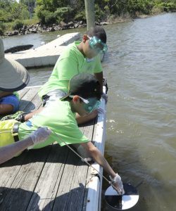 The Hackensack Riverkeeper's Urban Watershed Education program