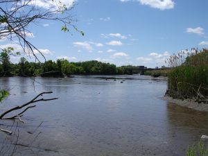 The new regional alliance, Hackensack River Nation, focuses on the Hackensack River Watershed.